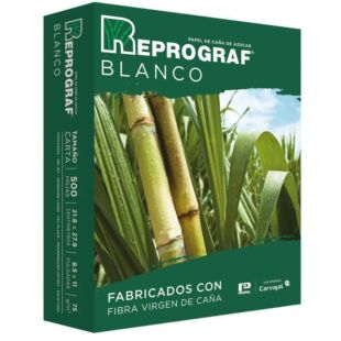 Resma De Papel Blanco Tamaño Carta 500 Hojas (100000029)