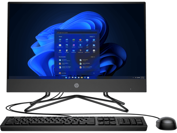 Todo en Uno HP 205 G4 24 - 23.8-inch (60.45 cm) -  (1V4G2LT) - Center facing