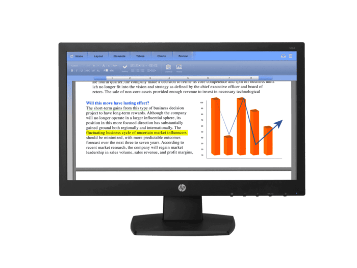 Monitor HP V194 de 18,5